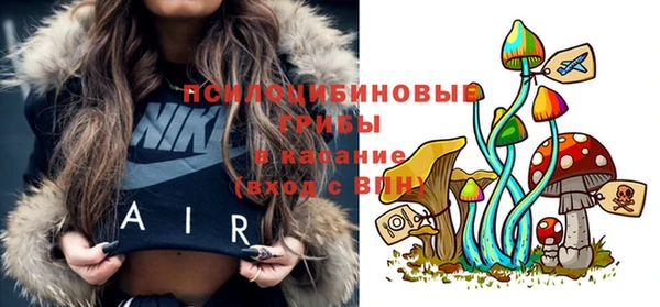 прущие грибы Арсеньев