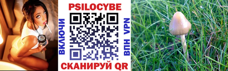 МЕГА ссылки  закладка  Ступино  Псилоцибиновые грибы мицелий 